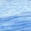 Baracuda Blue